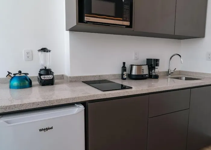 Condesa - Roma Luxury 205 Apartment